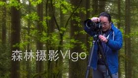 年宵花购养攻略来啦！一起用花扮靓新春~